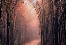 足球——西班牙国王杯：巴塞罗那战平马德里竞技.