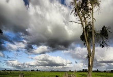 超凡国际官网：山东高速男篮排名第6收官常规赛，邱彪：正视差距，继续向强队学习.