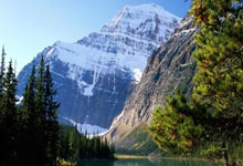 超凡国际官网:莱利会解雇斯波吗?阿里纳斯:莱利需要解雇的是他自己.