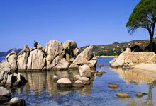 [CBA]常规赛3月26日：北控VS辽宁 赵继伟集.